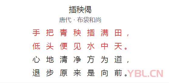 手把青秧插滿田低頭便見水中天是什么意思？