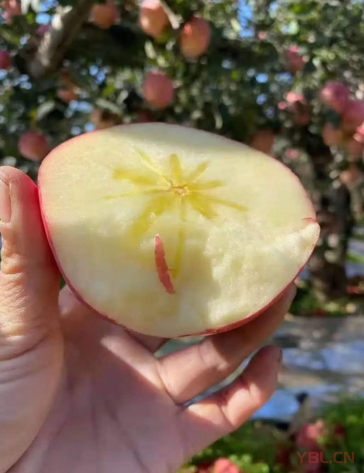 把自己立起來知是基本功，壓的住情緒才是真本事。