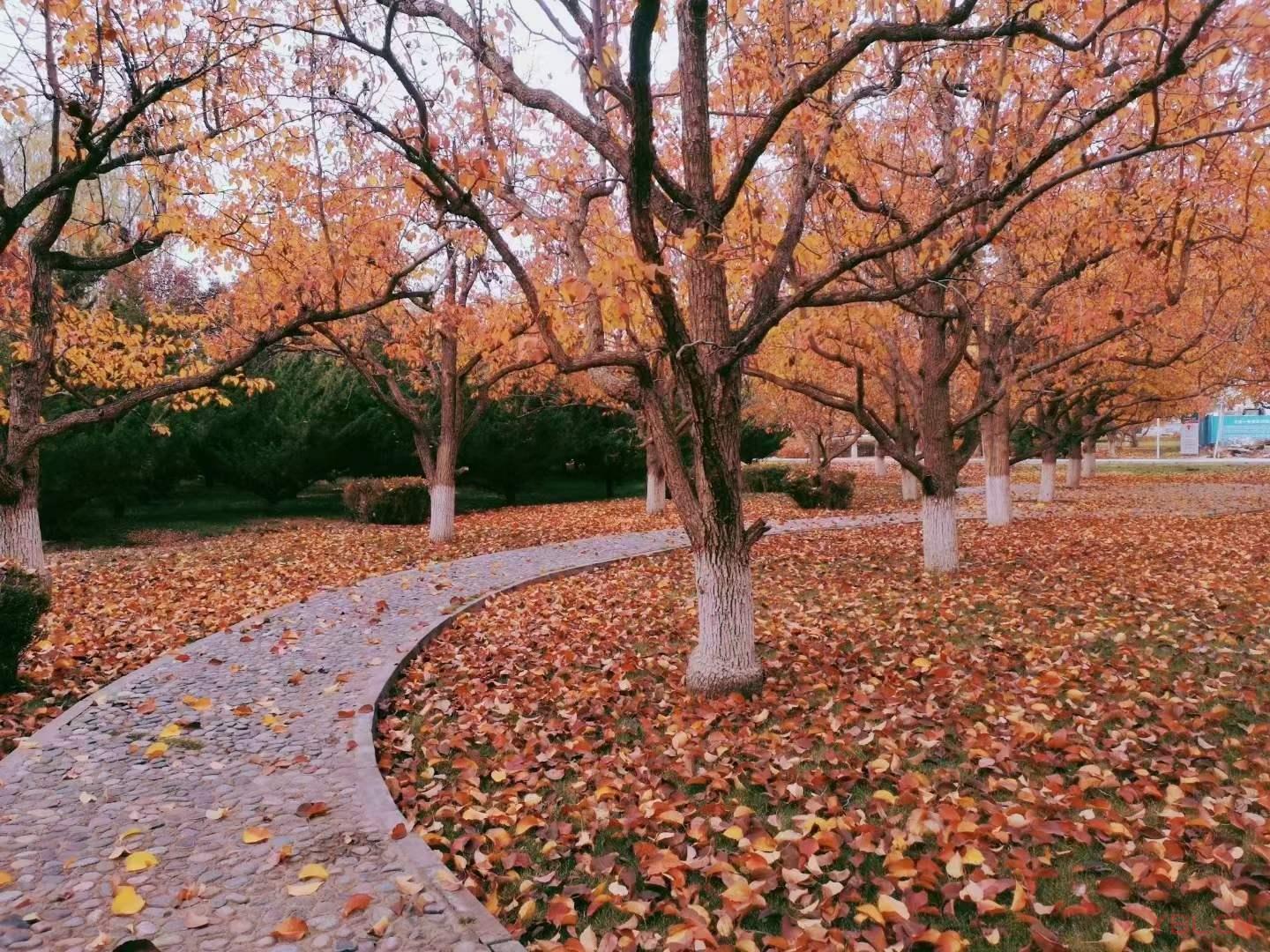 人要看開，切勿看透